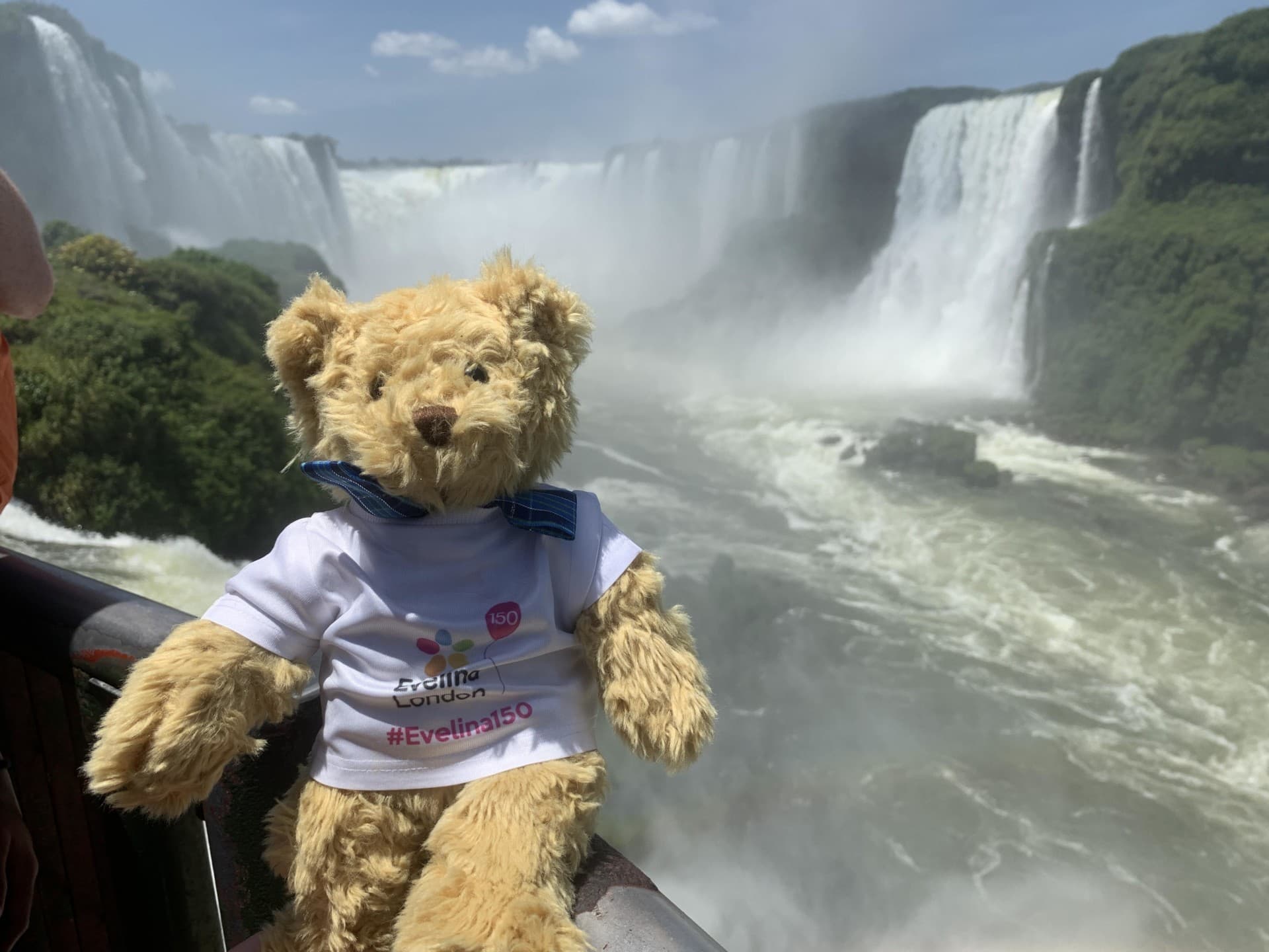 teddy bear at a Argentinian mountain