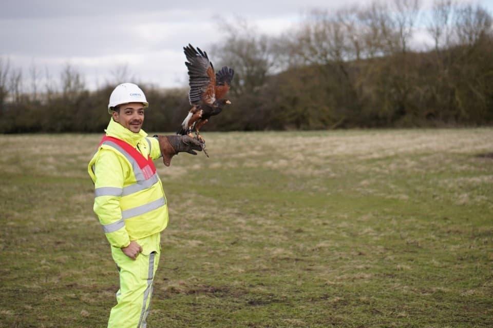 Falconeur Visit Graven Hill